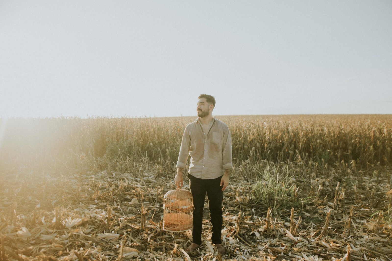 Pajarito - Luz y Mimbre